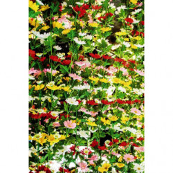 FLOWERED WALL wallpaper