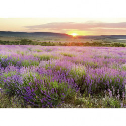 Tableau AUBE EN PROVENCE