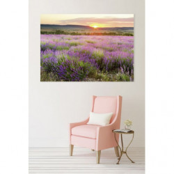 DAWN IN PROVENCE Canvas print