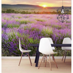 DAWN IN PROVENCE Wallpaper