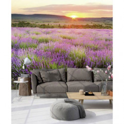 DAWN IN PROVENCE Poster
