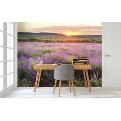 Poster AUBE EN PROVENCE