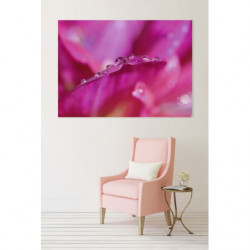 OFFER canvas print