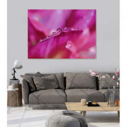 OFFER canvas print