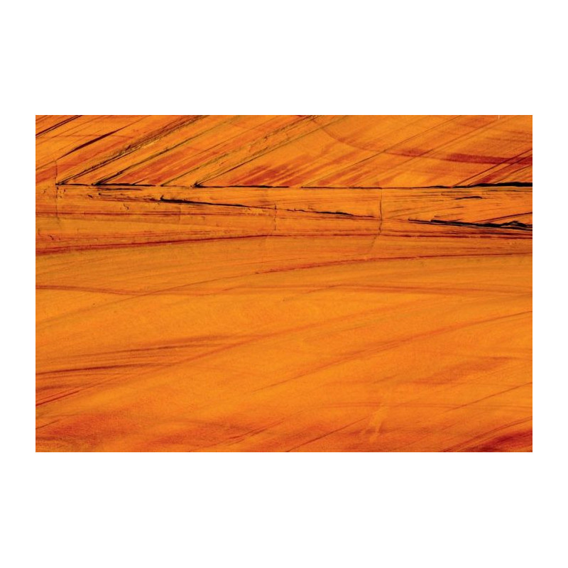 ORANGE canvas print - Canvas prints