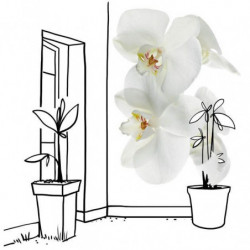 ORCHIDEE privacy screen