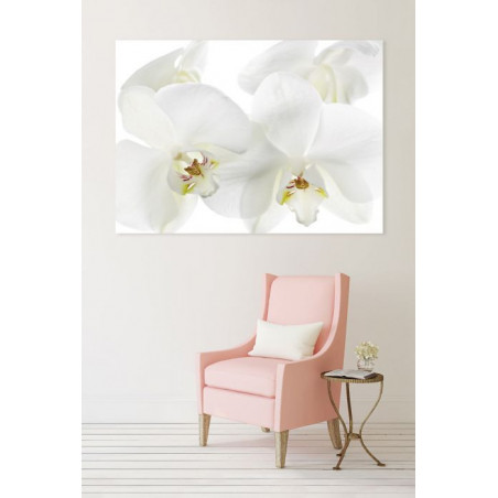 ORCHIDEE canvas print