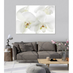 Tableau ORCHIDEE