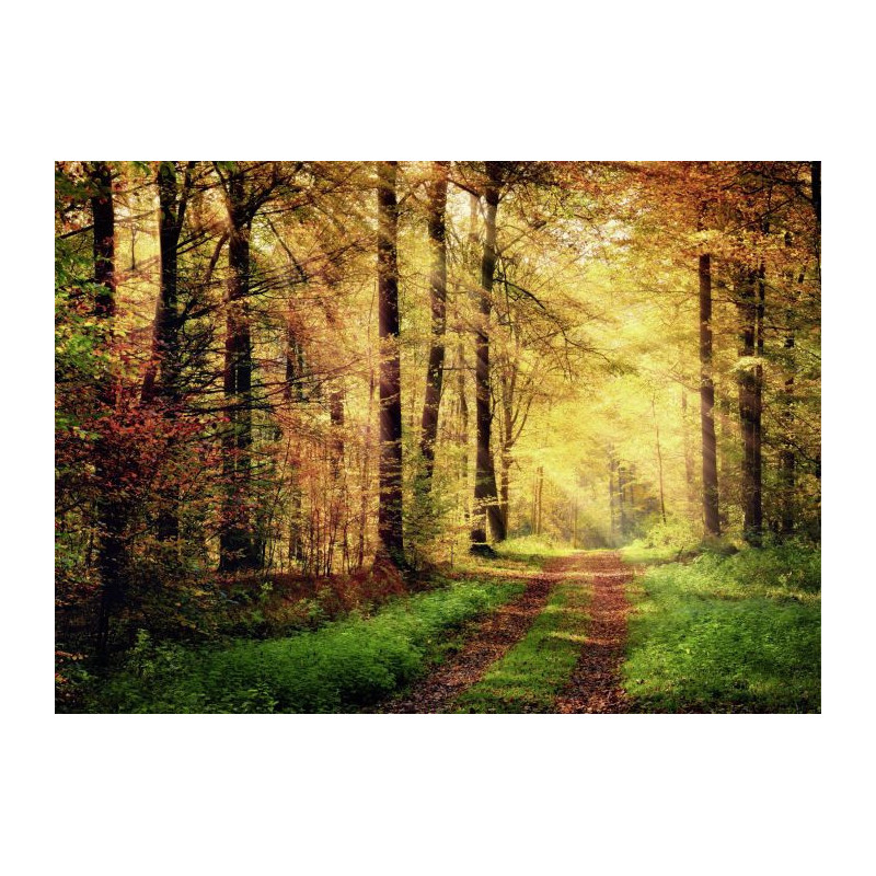 AUTUMN Canvas print - Xxl canvas prints