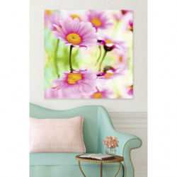 PINK DAISIES Canvas print