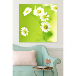 GREEN DAISIES canvas print