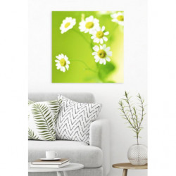 GREEN DAISIES canvas print