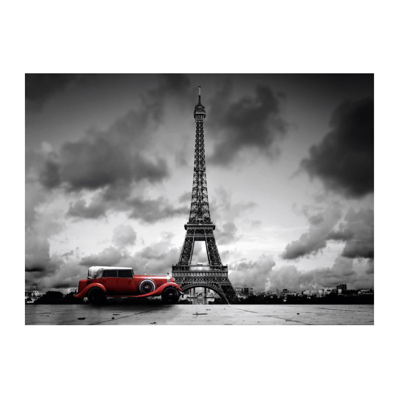 PARIS black and white canvas art - Paris