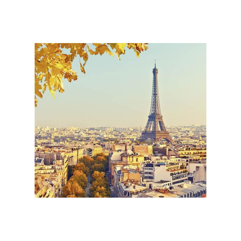 AUTUMN IN PARIS Wallpaper - Panoramic wallpaper