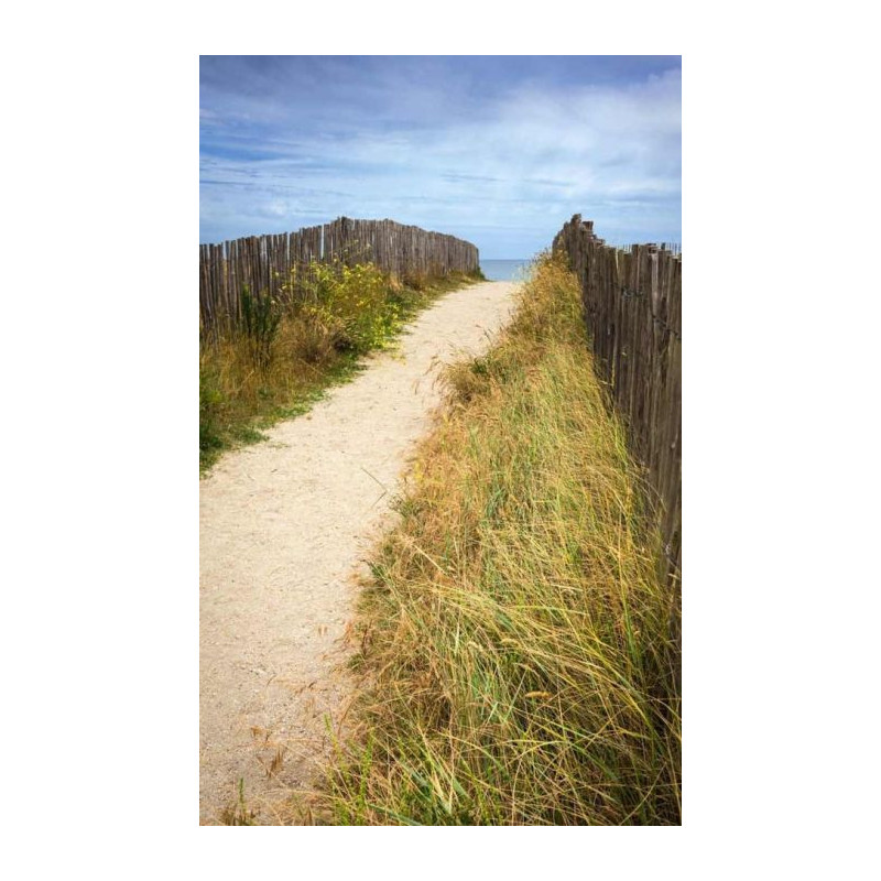 PASSAGE TO THE OCEAN privacy screen - Optical illusion privacy screen