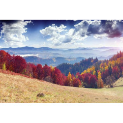 AUTUMN LANDSCAPE Poster