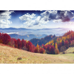 AUTUMN LANDSCAPE Canvas print