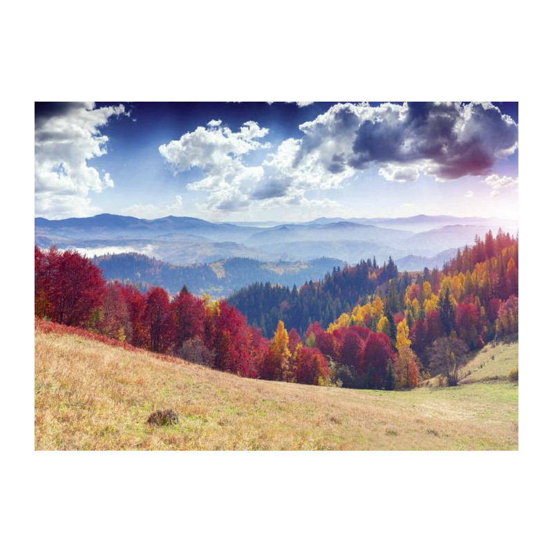 AUTUMN LANDSCAPE Canvas print - Canvas print for living room