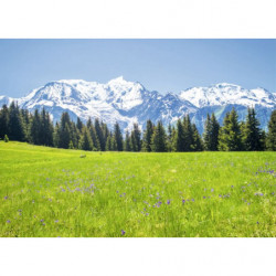 Tableau PAYSAGE MONT BLANC