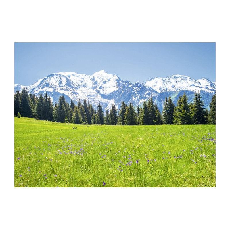 MONT BLANC LANDSCAPE canvas print - Nature landscape