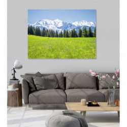 Tableau PAYSAGE MONT BLANC