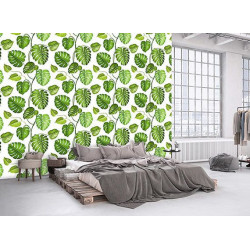 PHILODENDRON wallpaper