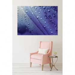 PHILTRE canvas print