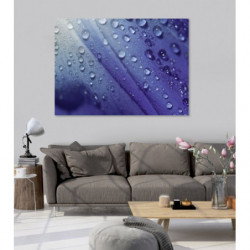 PHILTRE canvas print