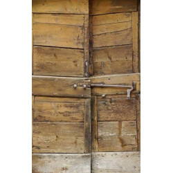 ANTIQUE WOODEN DOOR Privacy screen