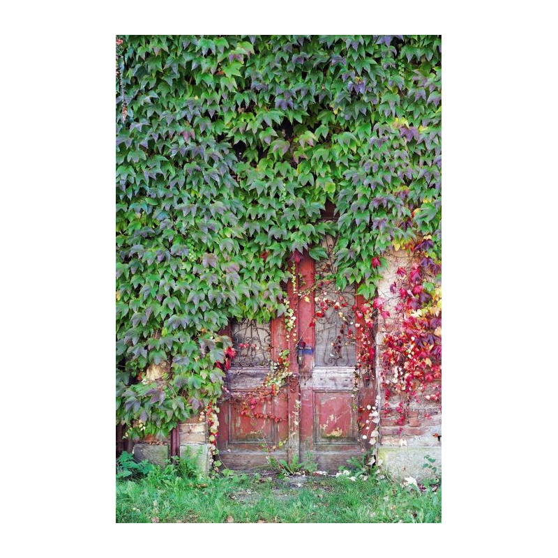 LOCKED DOOR wall hanging - Optical illusions wall hanging tapestry