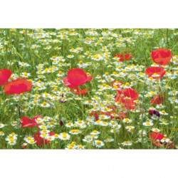 FLOWERING PRES Canvas print