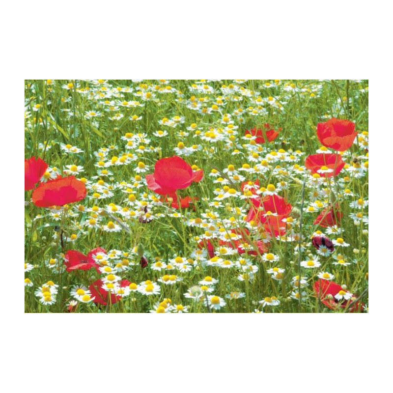 FLOWERING PRES Canvas print - Floral canvas print