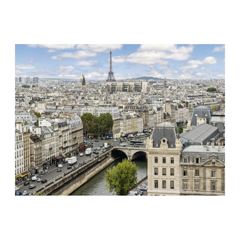 SPRING IN PARIS Canvas print - Canvas print for office