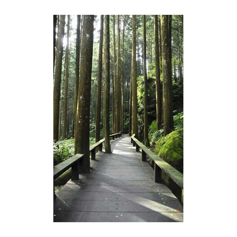 CANADIAN WALKWAY wall hanging - Nature landscape wall hanging tapestry