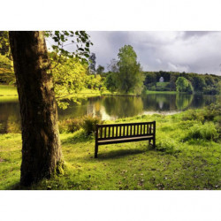 EVENING WALK canvas print