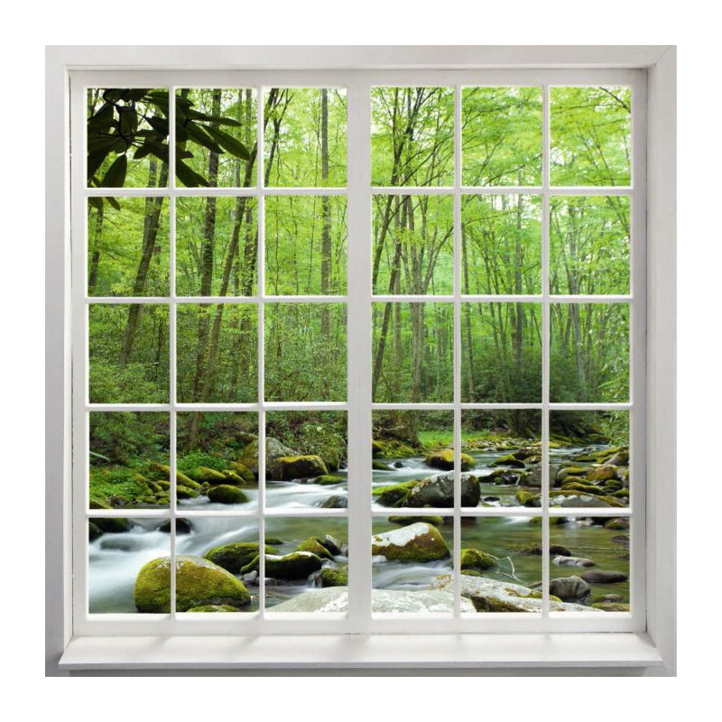 LOOKING AT THE FOREST canvas print - Gateways