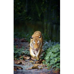 Tenture suspendue RENCONTRE