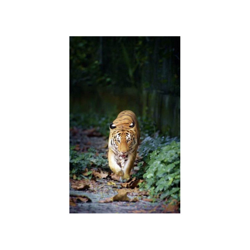MEETING wall hanging - Nature landscape wall hanging tapestry