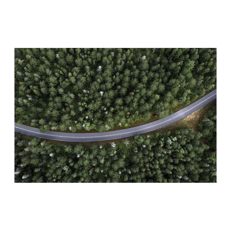 ROAD FROM THE AIR canvas print - Nature landscape