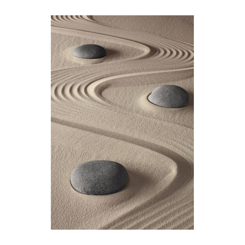 RYOAN JI wall hanging - Graphic wall hanging tapestry