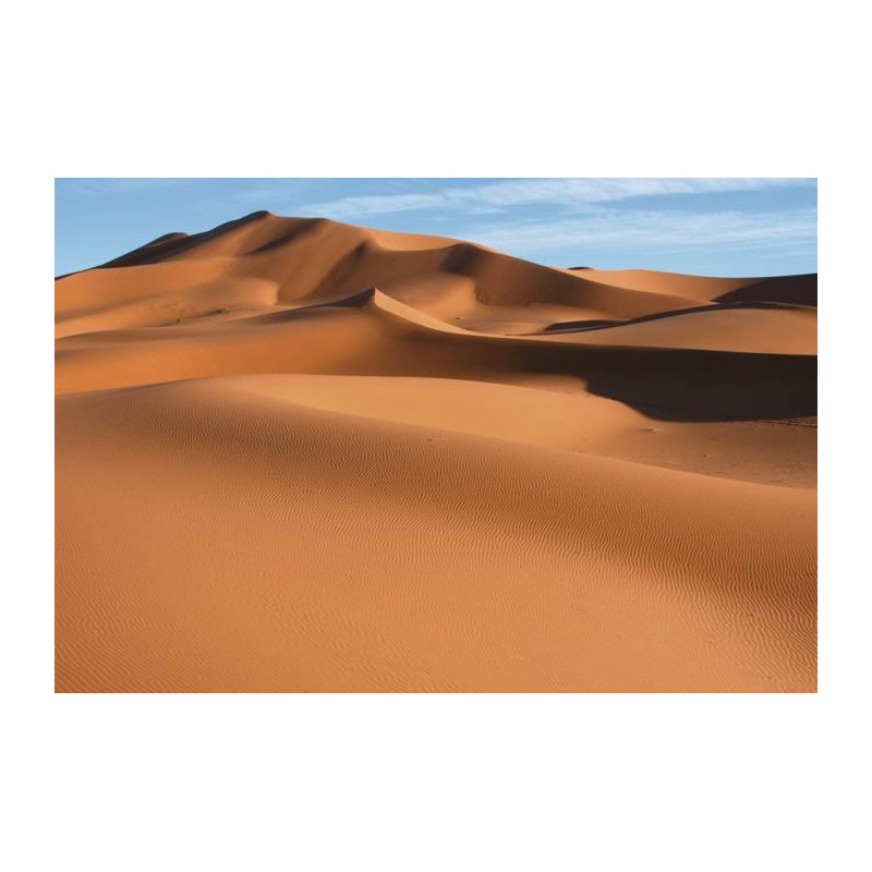 SAHARA wallpaper - Panoramic wallpaper