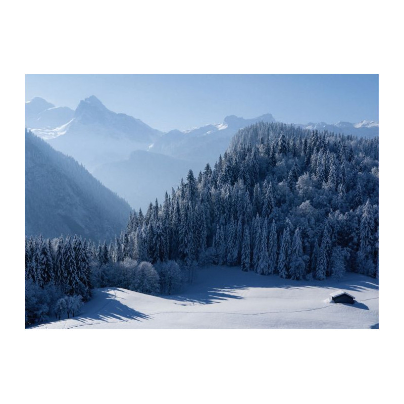 SAMOËNS canvas print - Nature landscape