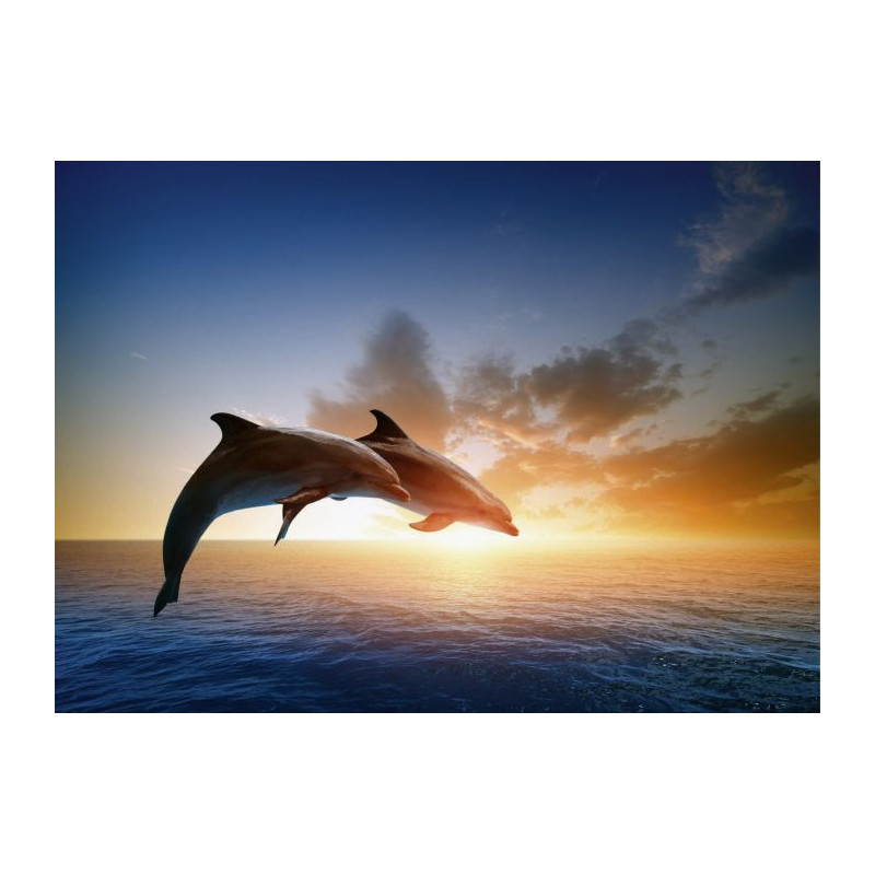 DOLPHINS JUMP Canvas print - Xxl canvas prints