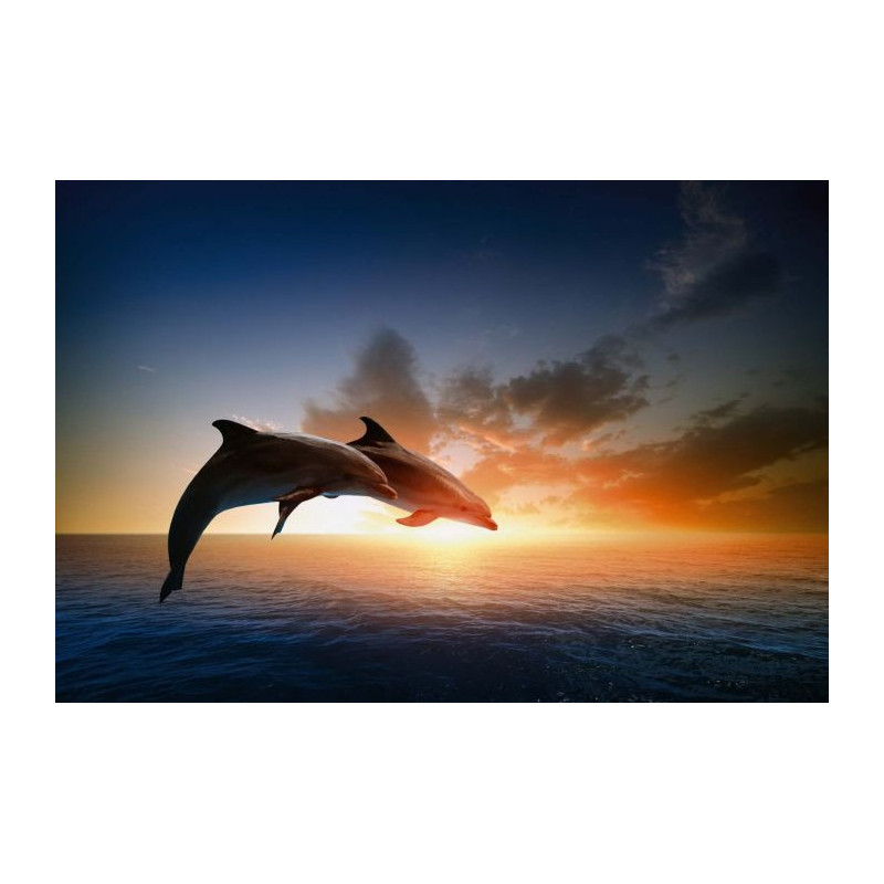 DOLPHINS JUMP Wallpaper - Panoramic wallpaper