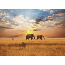 AFRICAN SAVANNAH Canvas print