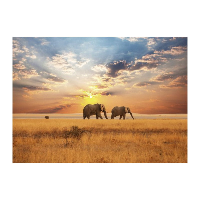 AFRICAN SAVANNAH Canvas print - Xxl canvas prints