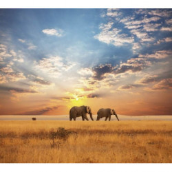 AFRICAN SAVANNAH Poster