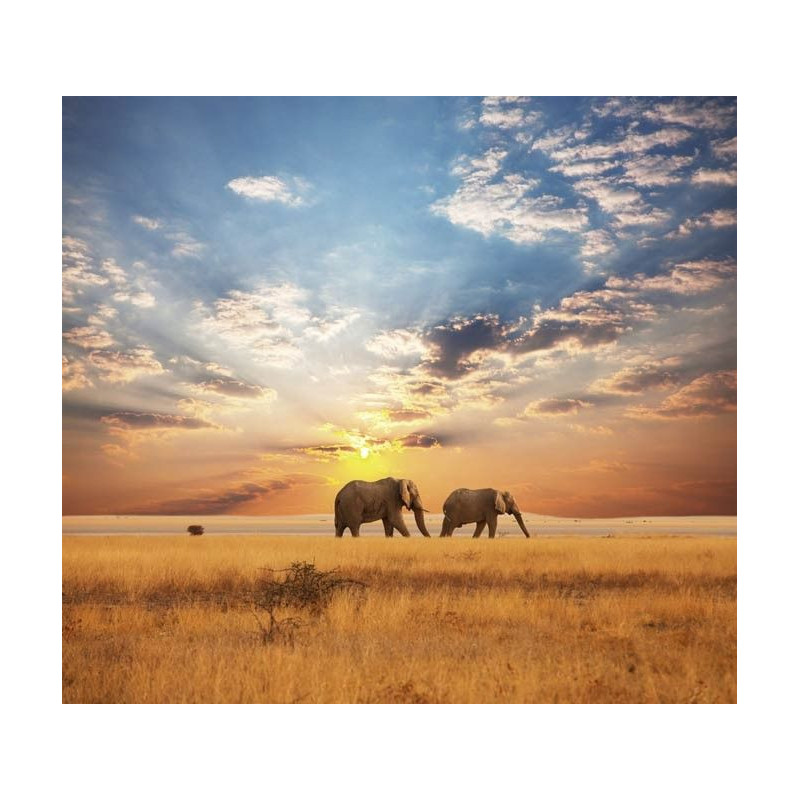 Papier Peint SAVANE AFRICAINE - Papier peint panoramique