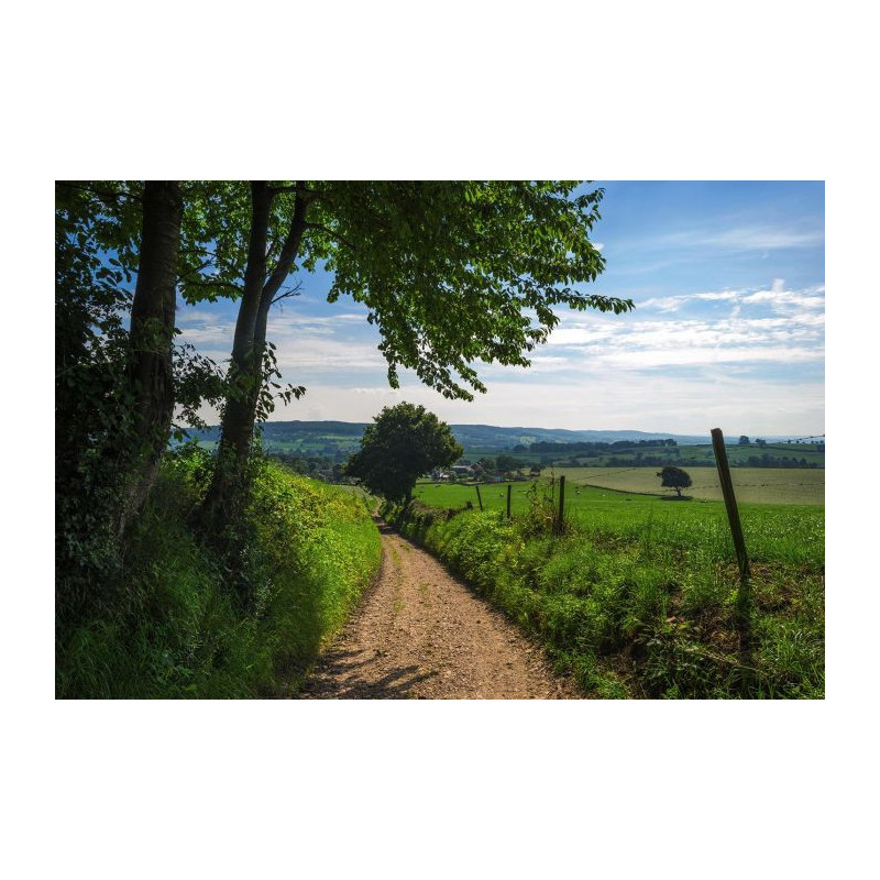 Poster SENTIER - Poster panoramique