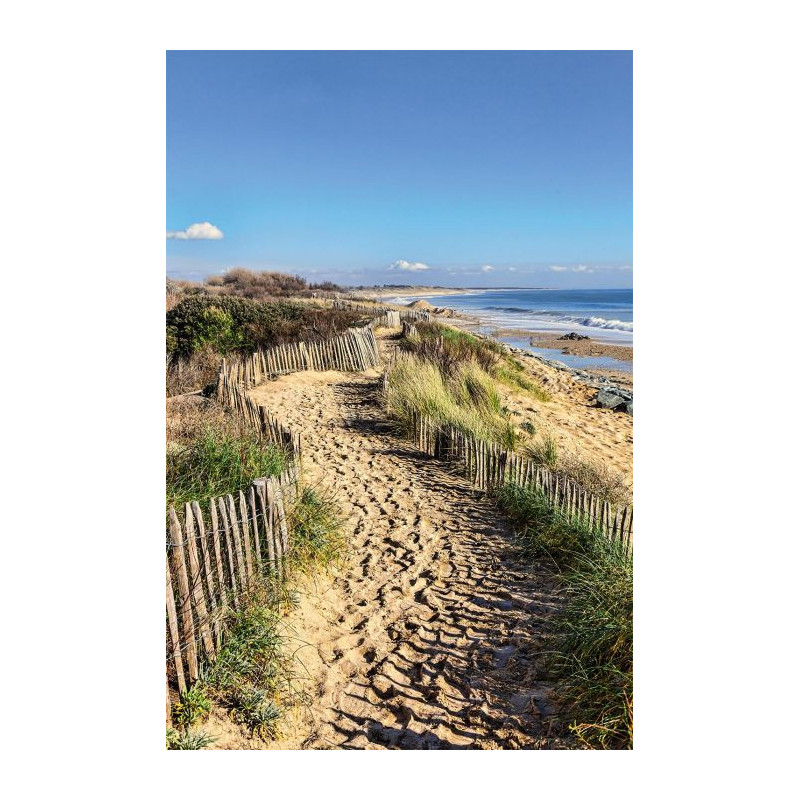 COASTAL PATH Wall hanging - Nature landscape wall hanging tapestry